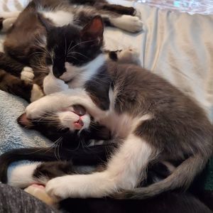 Meet your Posher, Elisabeth